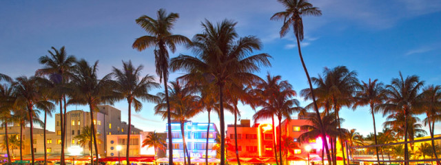 Everything You Need To Know About Miami
