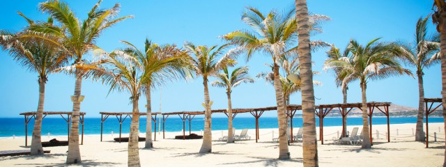 New Resort Opening: Royal Decameron Los Cabos