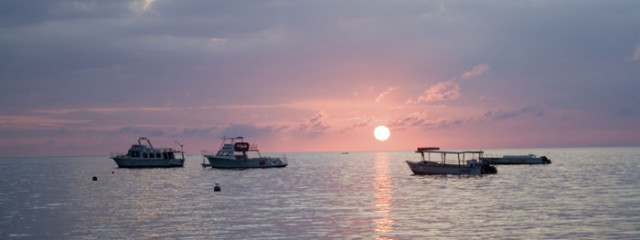 Everything You Need to Know About Montego Bay