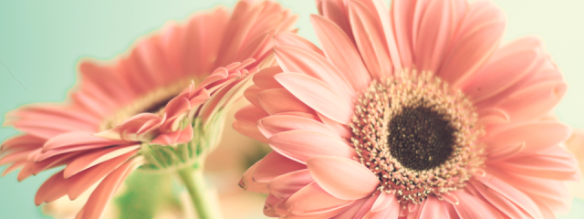 Give Mom the Gift of Travel this Mother’s Day