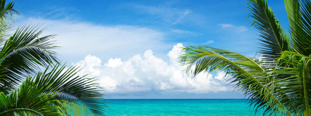 Things to do in Riviera Nayarit