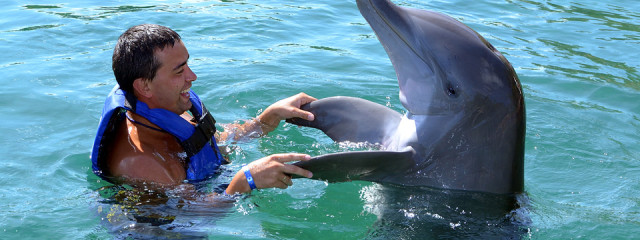 Five animal excursions for your Caribbean vacation