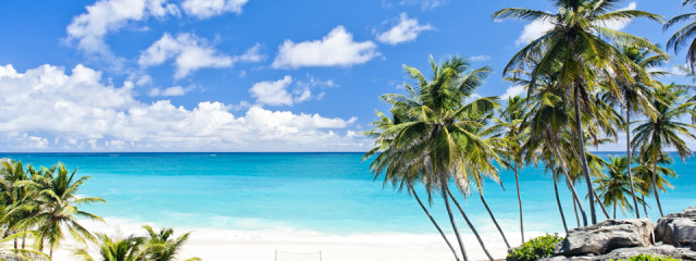 Travel Guide: Things to do in Barbados