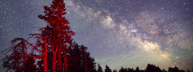 Travel Oregon: Your Guide