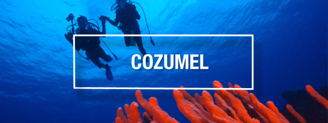 Cozumel Scuba Diving – Best scuba diving in the world