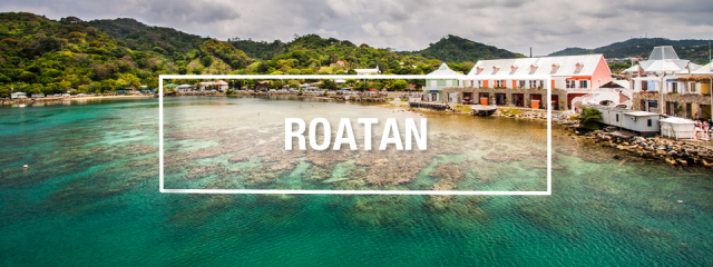 Your Guide to Roatan Scuba Diving