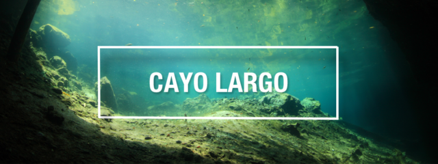 Cayo Largo Scuba Diving Guide