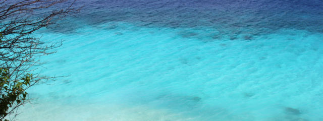 Top Scuba Diving Destinations