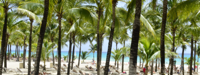 Riu Palace Riviera Maya: The Royal Treatment