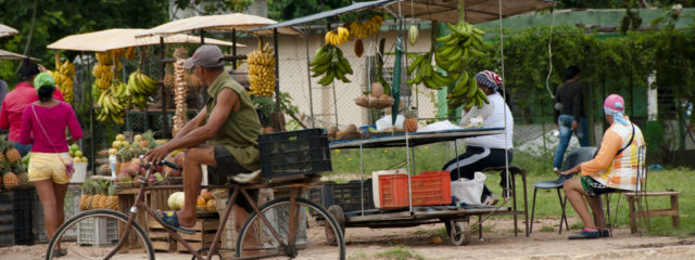 A guide to food in Cuba: what to expect on vacation