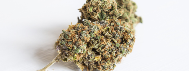 Travelling with Cannabis