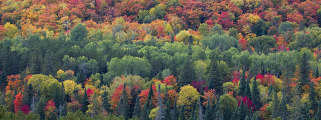 10 escapades de dernière minute pour profiter des couleurs d’automne cette année
